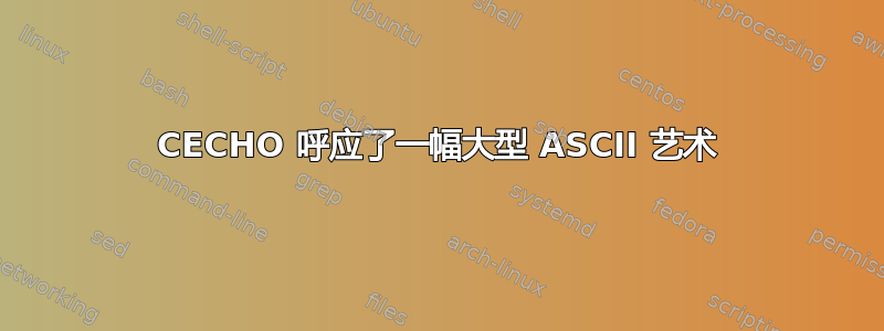 CECHO 呼应了一幅大型 ASCII 艺术