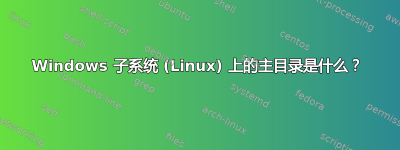 Windows 子系统 (Linux) 上的主目录是什么？