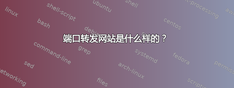 端口转发网站是什么样的？