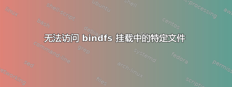 无法访问 bindfs 挂载中的特定文件