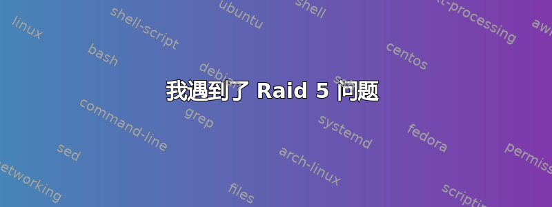 我遇到了 Raid 5 问题