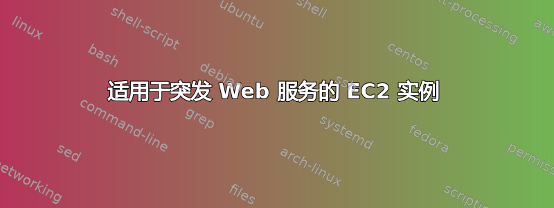 适用于突发 Web 服务的 EC2 实例