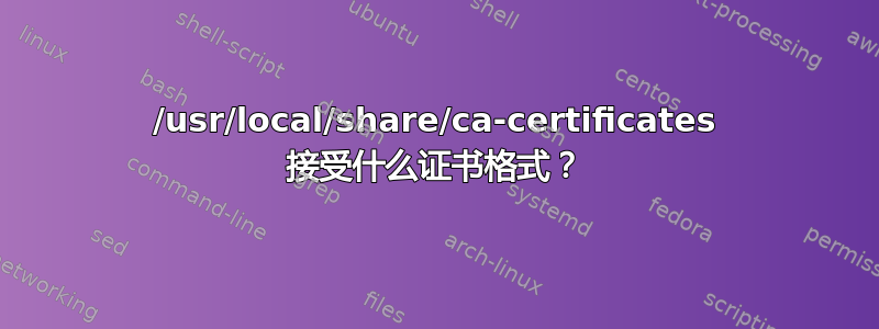 /usr/local/share/ca-certificates 接受什么证书格式？