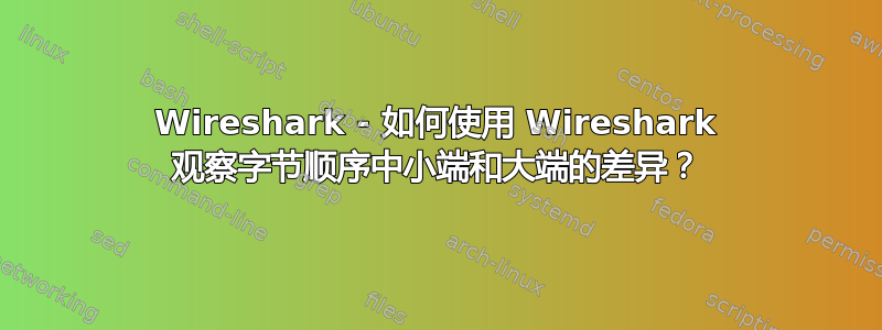 Wireshark - 如何使用 Wireshark 观察字节顺序中小端和大端的差异？