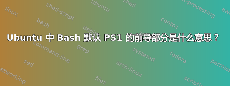 Ubuntu 中 Bash 默认 PS1 的前导部分是什么意思？