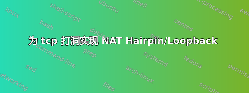 为 tcp 打洞实现 NAT Hairpin/Loopback