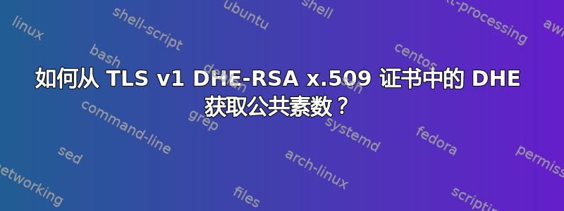 如何从 TLS v1 DHE-RSA x.509 证书中的 DHE 获取公共素数？