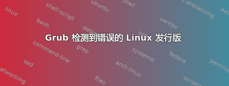 Grub 检测到错误的 Linux 发行版