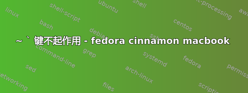 ~ ` 键不起作用 - fedora cinnamon macbook