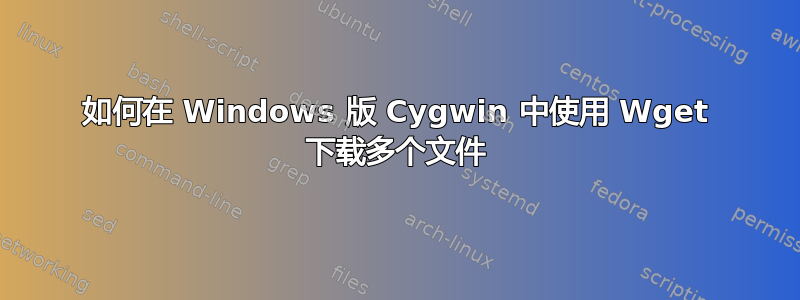 如何在 Windows 版 Cygwin 中使用 Wget 下载多个文件