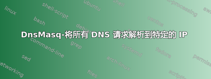 DnsMasq-将所有 DNS 请求解析到特定的 IP