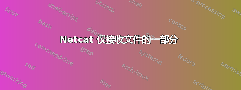 Netcat 仅接收文件的一部分