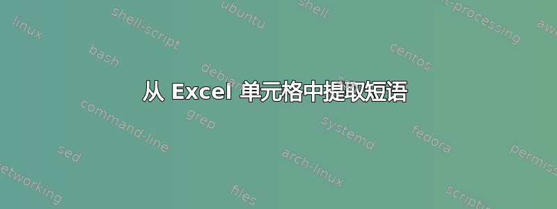 从 Excel 单元格中提取短语