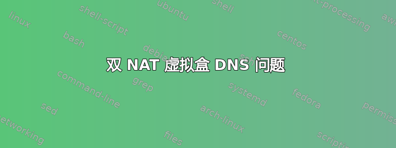 双 NAT 虚拟盒 DNS 问题