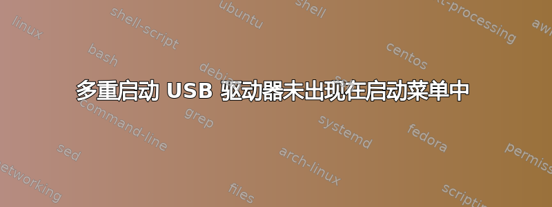 多重启动 USB 驱动器未出现在启动菜单中