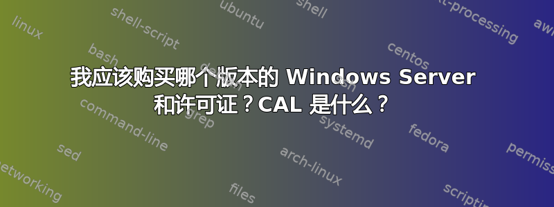 我应该购买哪个版本的 Windows Server 和许可证？CAL 是什么？