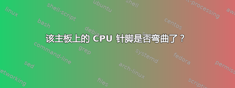 该主板上的 CPU 针脚是否弯曲了？