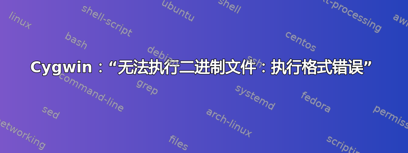 Cygwin：“无法执行二进制文件：执行格式错误”