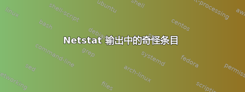 Netstat 输出中的奇怪条目