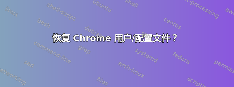 恢复 Chrome 用户/配置文件？