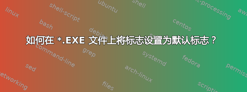 如何在 *.EXE 文件上将标志设置为默认标志？