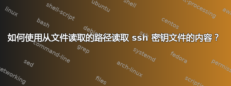 如何使用从文件读取的路径读取 ssh 密钥文件的内容？