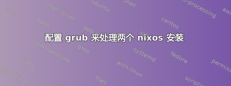 配置 grub 来处理两个 nixos 安装