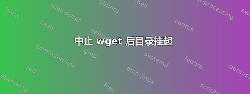 中止 wget 后目录挂起