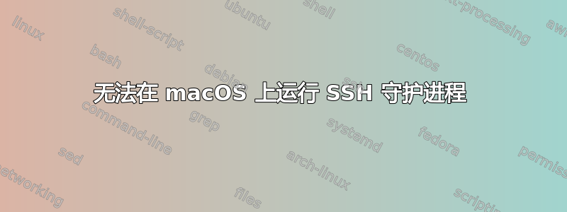 无法在 macOS 上运行 SSH 守护进程