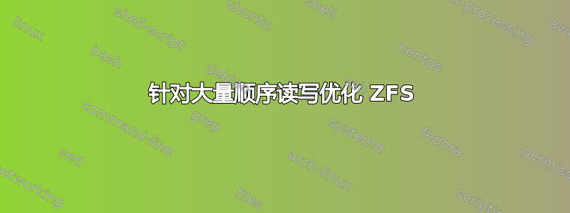 针对大量顺序读写优化 ZFS