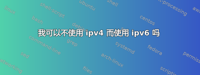 我可以不使用 ipv4 而使用 ipv6 吗