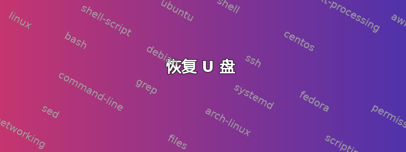 恢复 U 盘