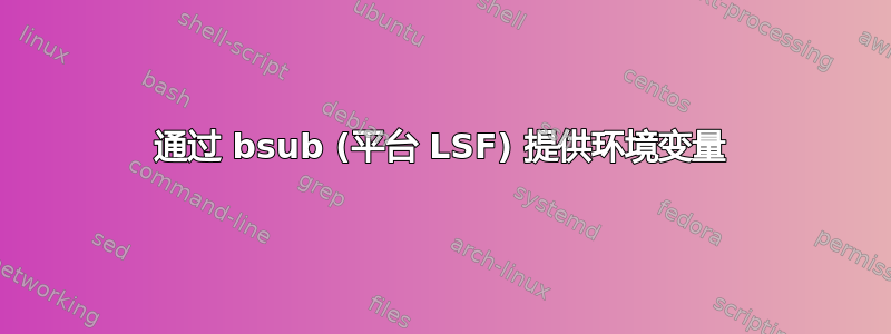 通过 bsub (平台 LSF) 提供环境变量