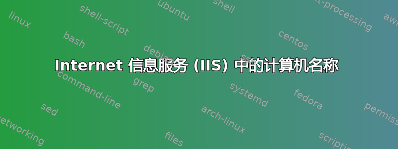 Internet 信息服务 (IIS) 中的计算机名称