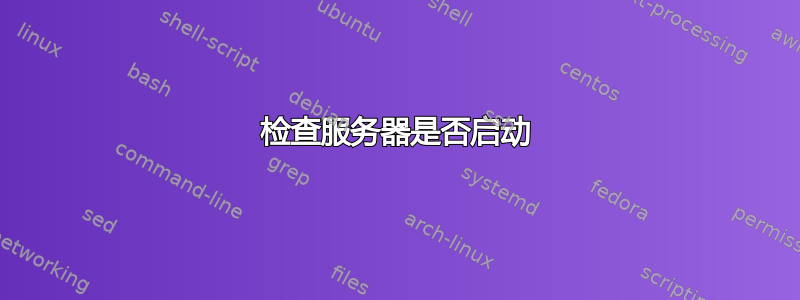 检查服务器是否启动