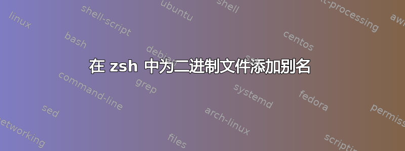 在 zsh 中为二进制文件添加别名