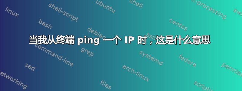当我从终端 ping 一个 IP 时，这是什么意思