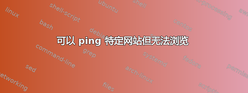 可以 ping 特定网站但无法浏览