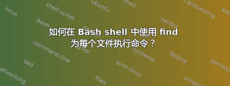 如何在 Bash shell 中使用 find 为每个文件执行命令？