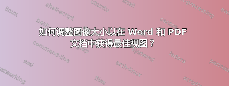 如何调整图像大小以在 Word 和 PDF 文档中获得最佳视图？