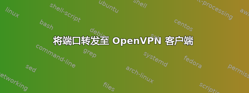 将端口转发至 OpenVPN 客户端