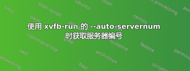 使用 xvfb-run 的 --auto-servernum 时获取服务器编号