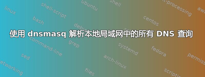 使用 dnsmasq 解析本地局域网中的所有 DNS 查询