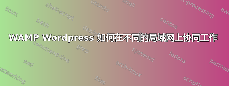 WAMP Wordpress 如何在不同的局域网上协同工作