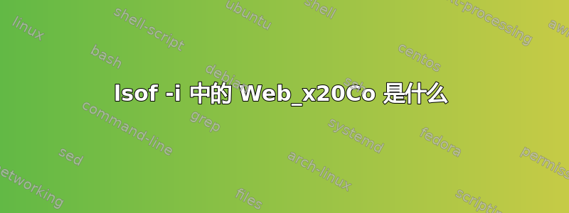 lsof -i 中的 Web_x20Co 是什么