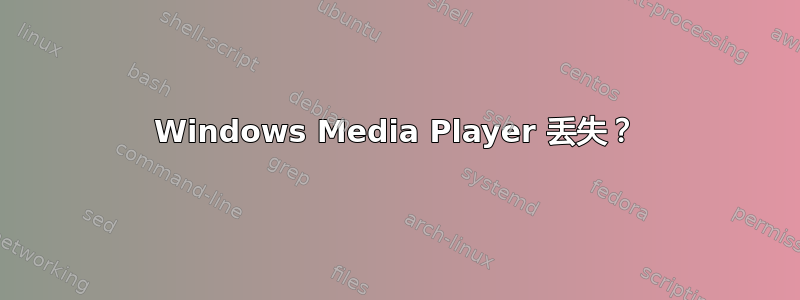 Windows Media Player 丢失？