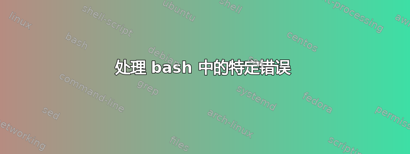 处理 bash 中的特定错误