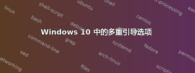 Windows 10 中的多重引导选项