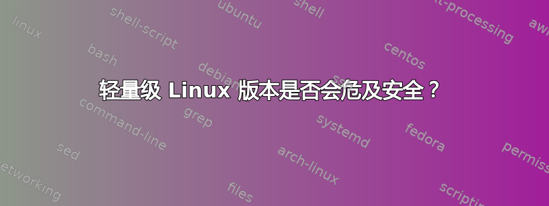 轻量级 Linux 版本是否会危及安全？