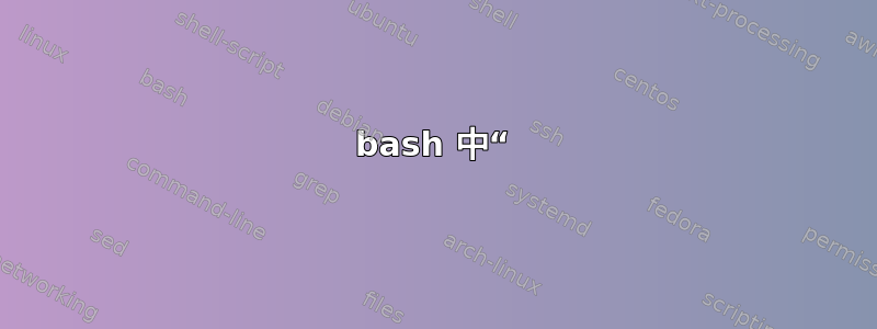 bash 中“